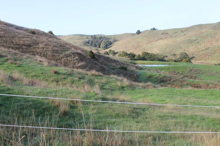 1311 State Highway 12 Maungaturoto_14