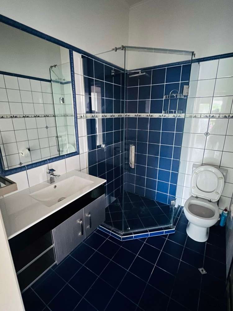 23 Harlston Road Mount Albert_10