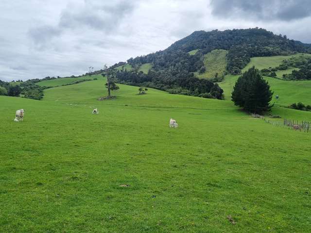 1384 Tahakopa Valley Road Catlins Surrounds_4