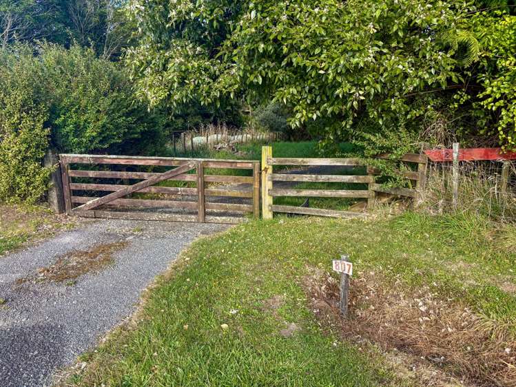 807 Whakamarama Road Whakamarama_1
