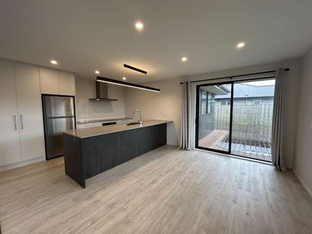 10 Horopito Street 1447_3