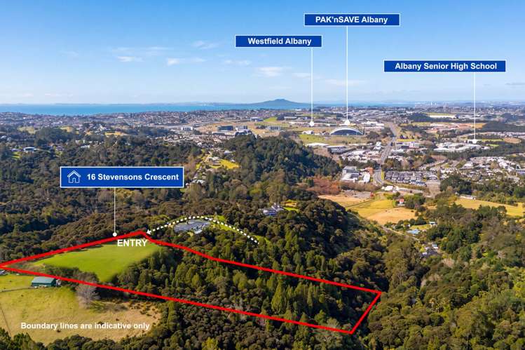 16 Stevensons Crescent Albany_8