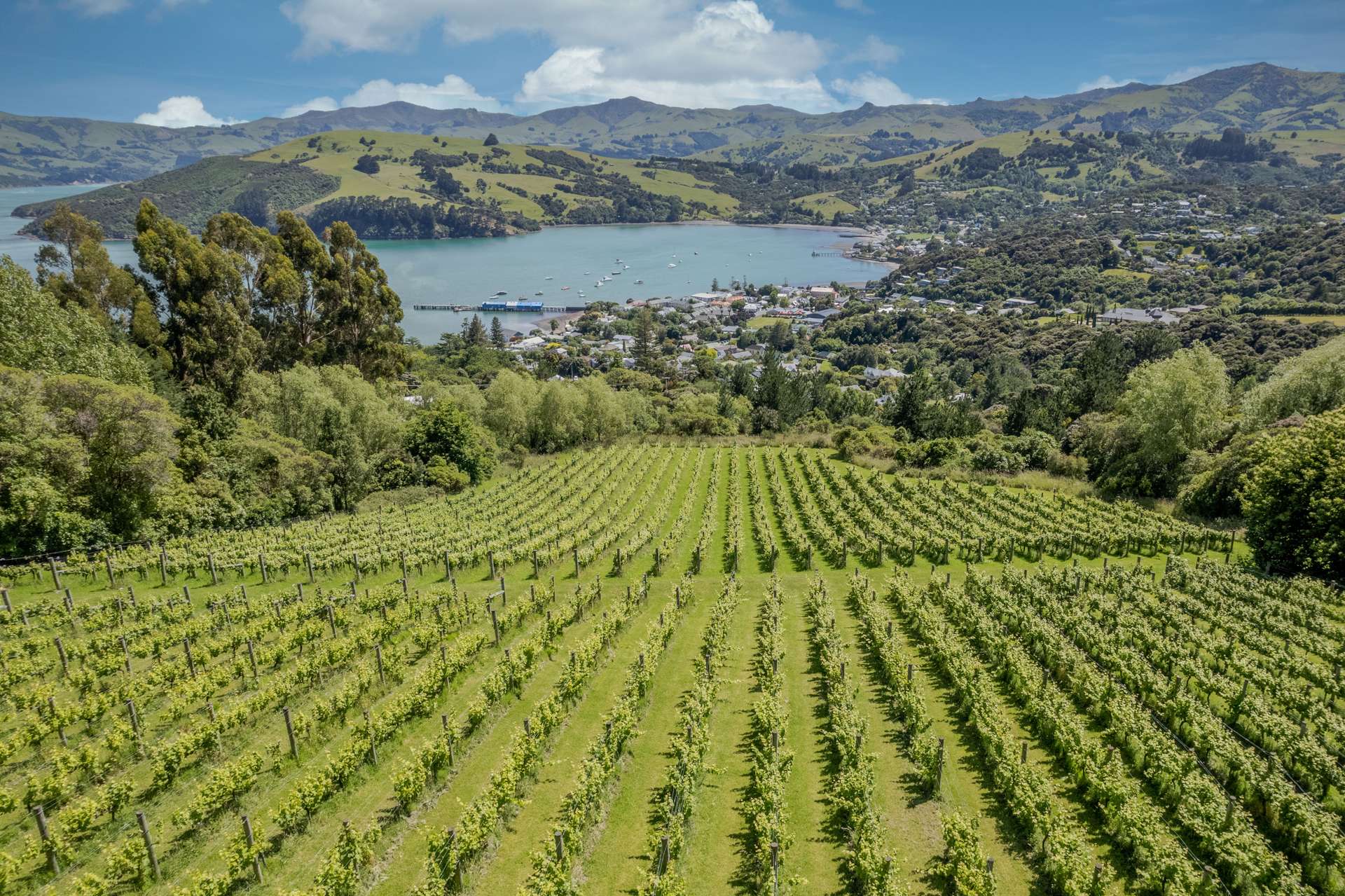 35 Lighthouse Road Akaroa_0