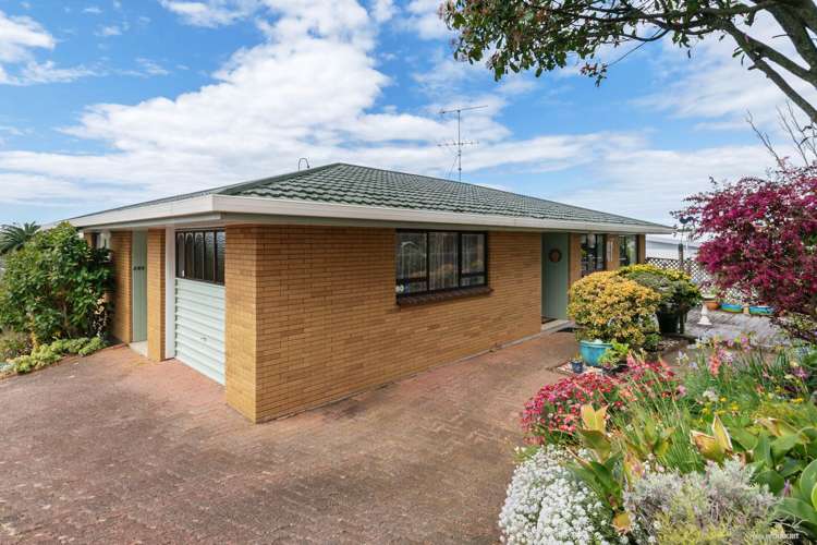 22e Homestead Road Manly_10