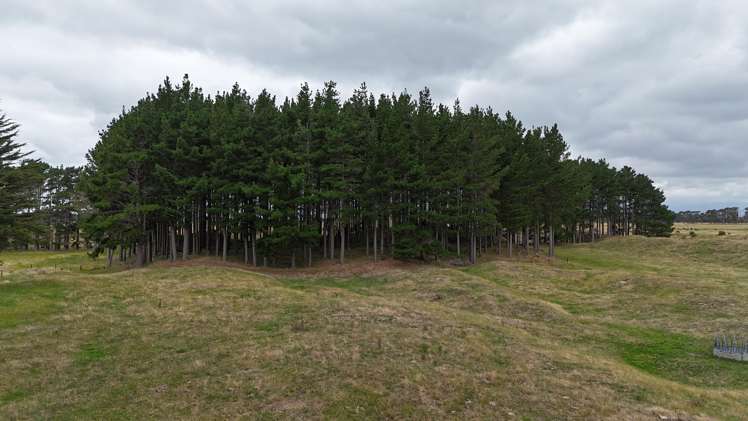 265 Paranui Road Foxton_7