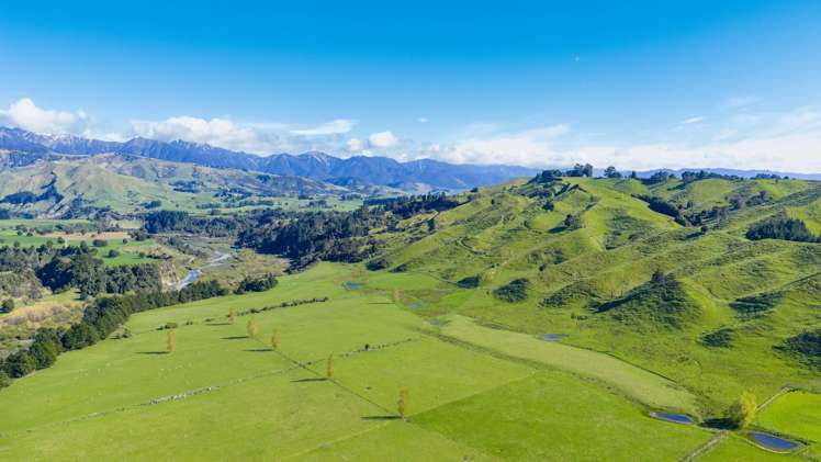 1139 Blackburn Road Ongaonga_22