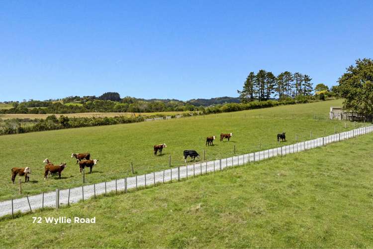72 and 76 Wyllie Road Warkworth_4