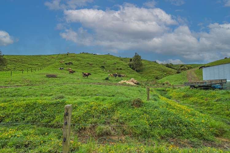 250 North Road Eketahuna_5