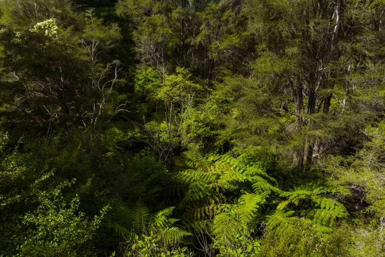 Lot 1 Nydia Bay Marlborough Sounds_24