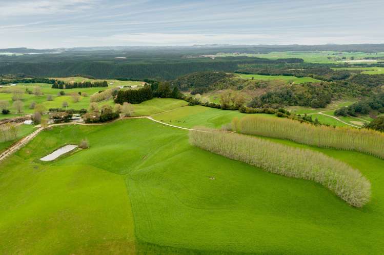 936 Pongakawa Bush Road Pongakawa_6