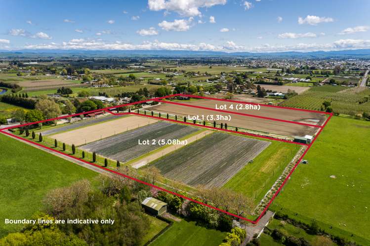 76, 96, 98 Havelock Road Havelock North_16