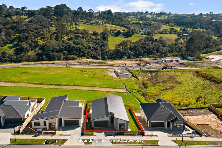 10 Kauri Gum Rise Swanson_14