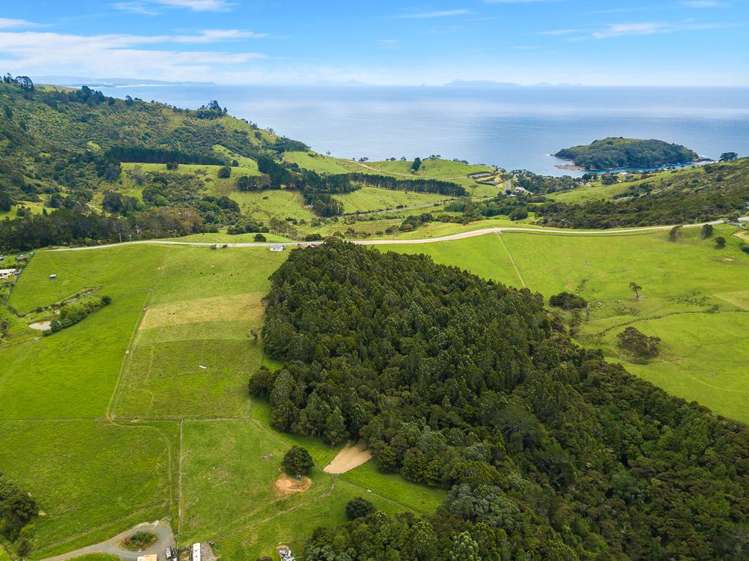 26 Cape Rodney Road Leigh_14