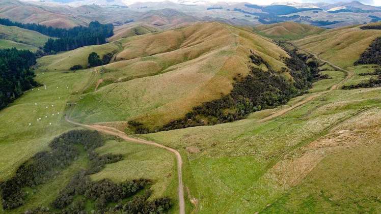 25 Mangamaire Road Dannevirke_15