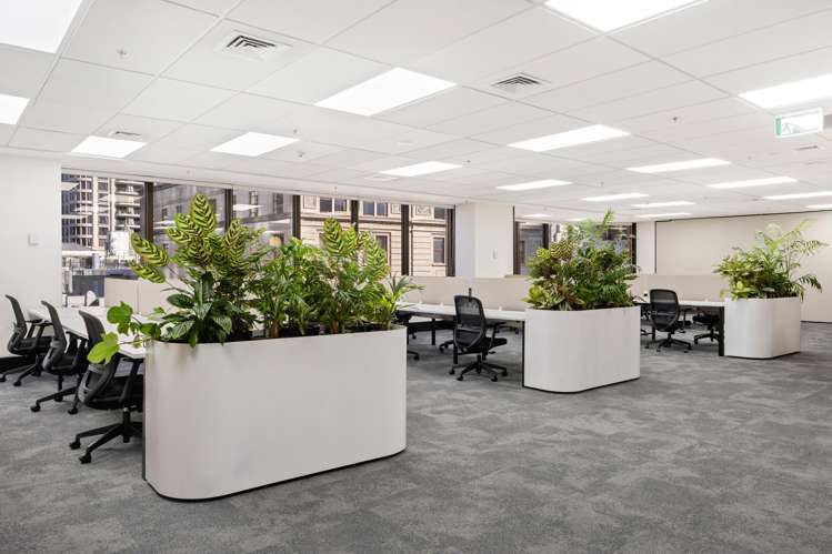 34 Shortland Street Auckland Central_1