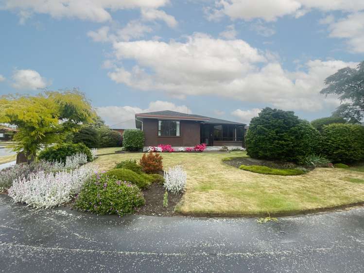 9 Lowry Avenue Redwood_13