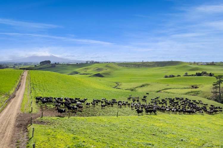 5200B Mountain Road Eltham_33