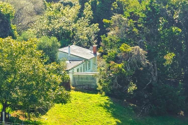 807 Whakamarama Road_0