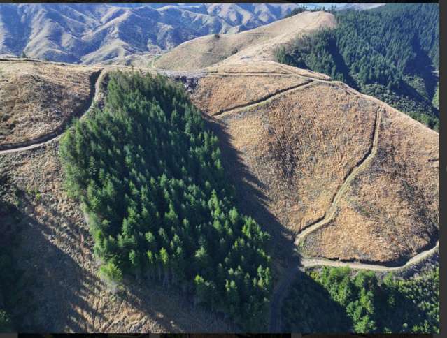 Te Moana Road Kakahu_1