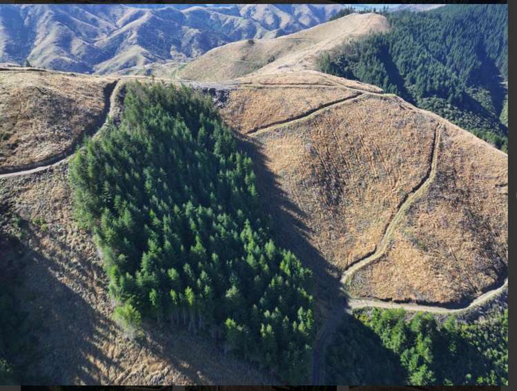 Te Moana Road Kakahu_1