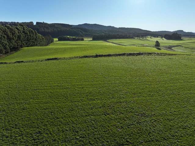 Glencoe Dairy Grazing/Supplement Block