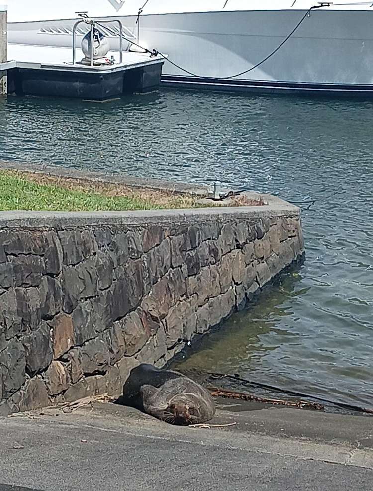 17 Waitotara Way Whitianga_58