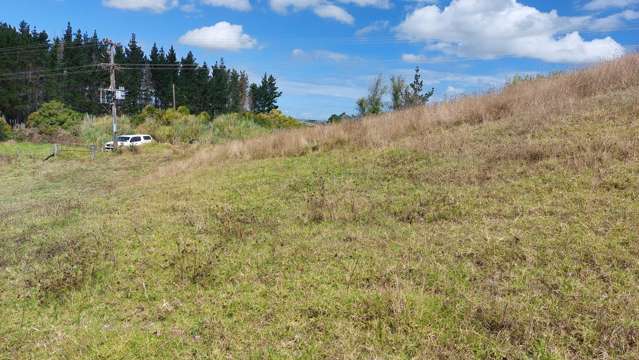 Wearmouth Road Paparoa_1