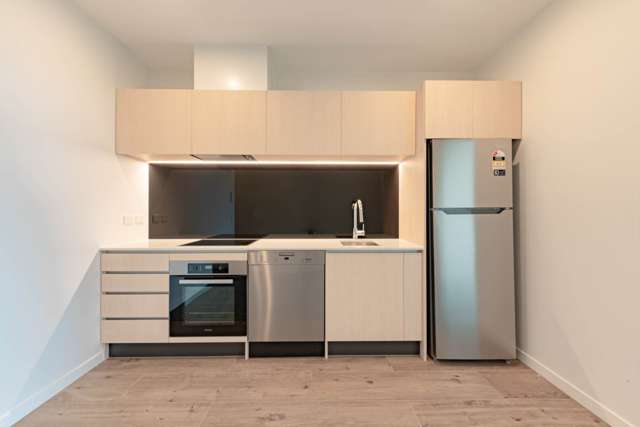 211/428 Dominion Road Mt Eden_4
