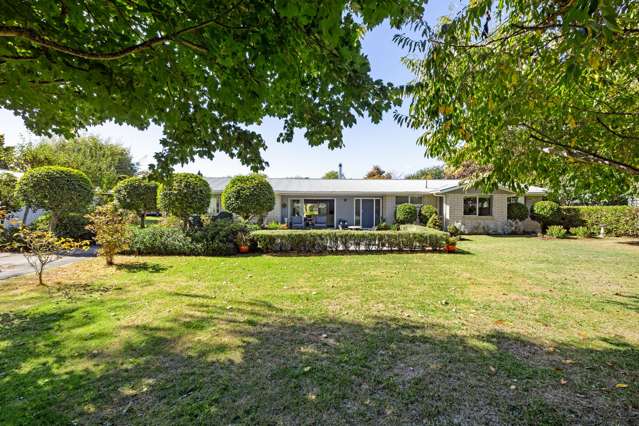 Whispers of Mid-Century, Wrapped in Green–2,481