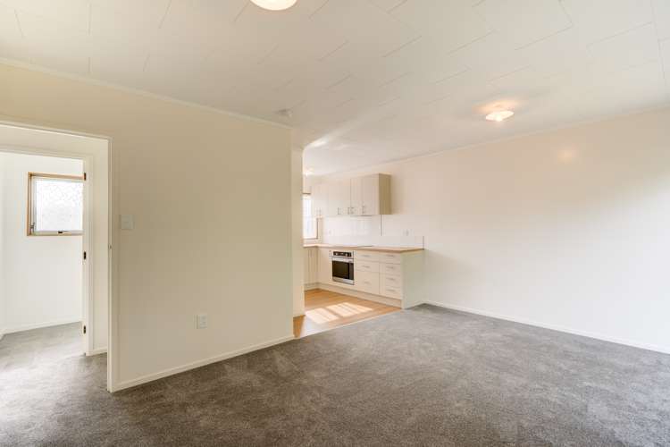 335 Western Hills Drive Avenues_23