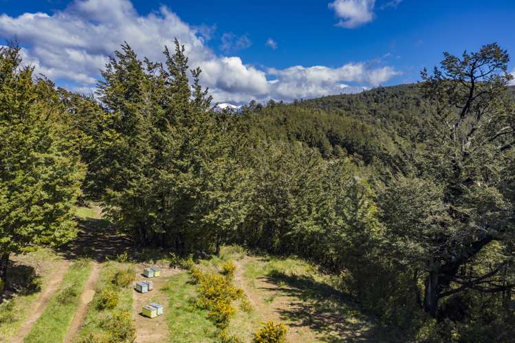 254 New Road Oxford_11