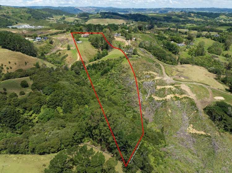 180 Ara-kotinga Whitford_21