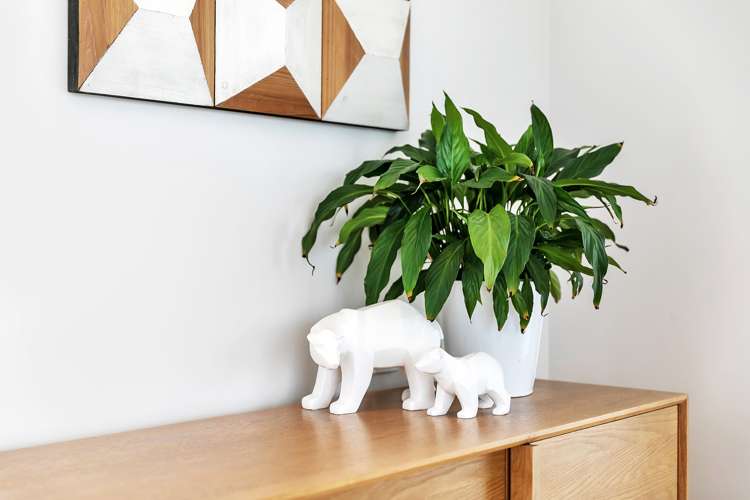 508/28 College Hill Freemans Bay_11