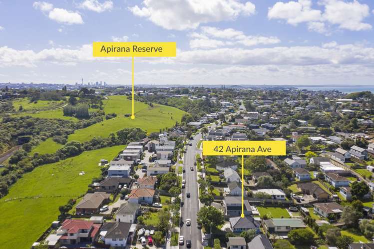 42 Apirana Avenue Glen Innes_13