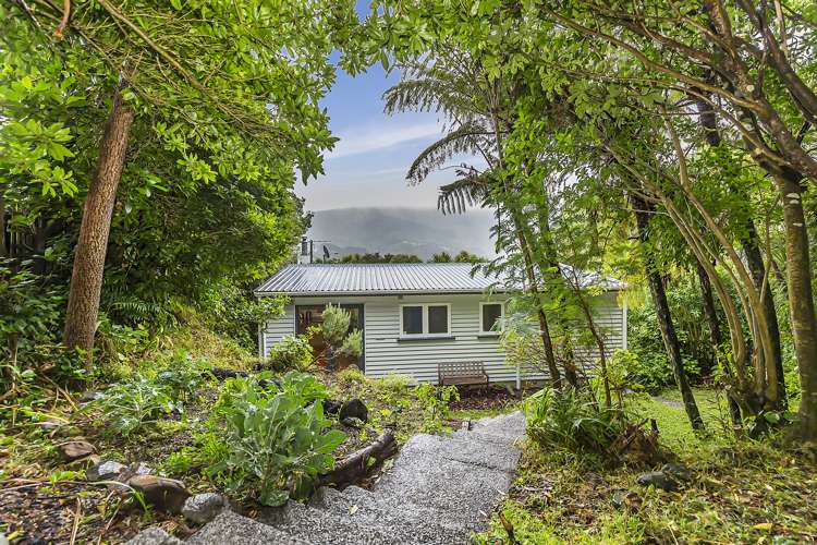 88 Pembroke Road Northland_10