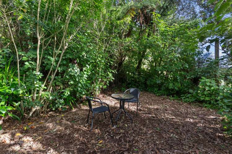 46 Huntingdon Street Northland_29