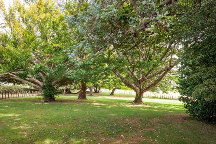 284 Hetherington Road Tirau_29