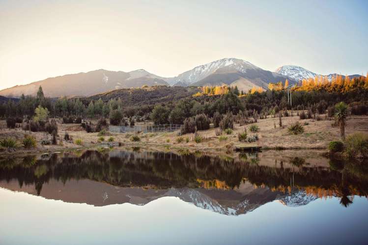 169 Mount Lyford Forest Drive Lyford_18