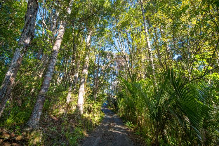 341 Kanohi Road Kaukapakapa_21