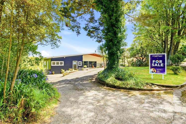 59C Wakeman Street Pahiatua_2