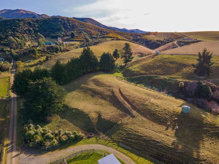 414 Engelbrechts Road Hunter_10