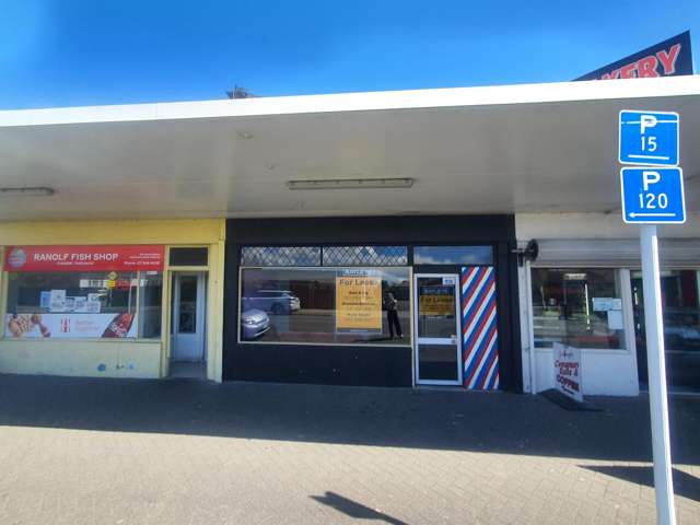 137 Ranolf Street Glenholme_4