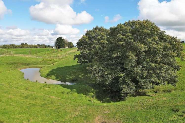 180 Tipapakuku Road Dannevirke_9