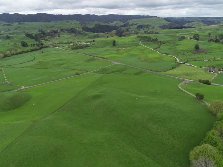 802 Kakahu Road Tapapa_6