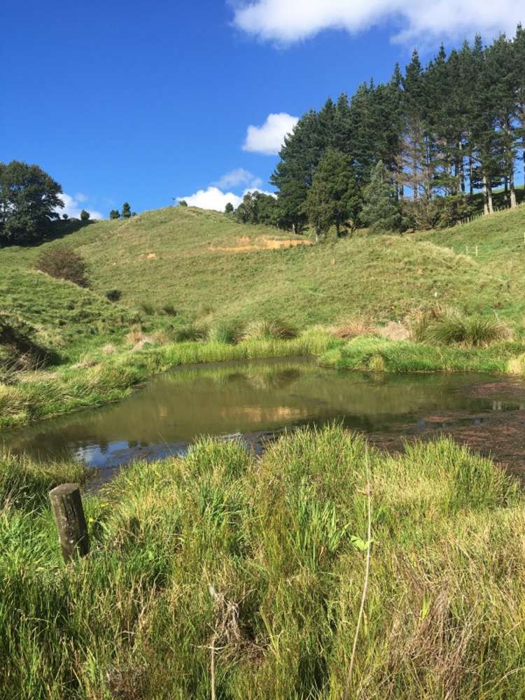 663 Maungakawa Road Te Miro_8