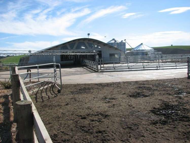 62 Harveys Road Island Cliff_9