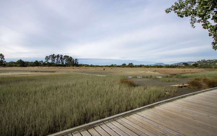 P75/70 Beach Road Tahunanui_12
