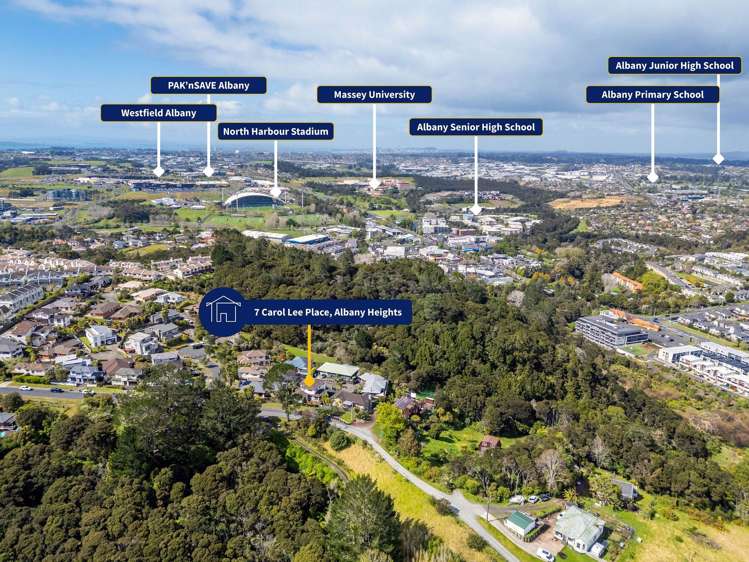 7 Carol Lee Place Albany_28