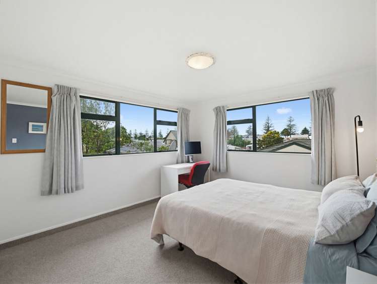 179A Nelson Crescent Napier South_17