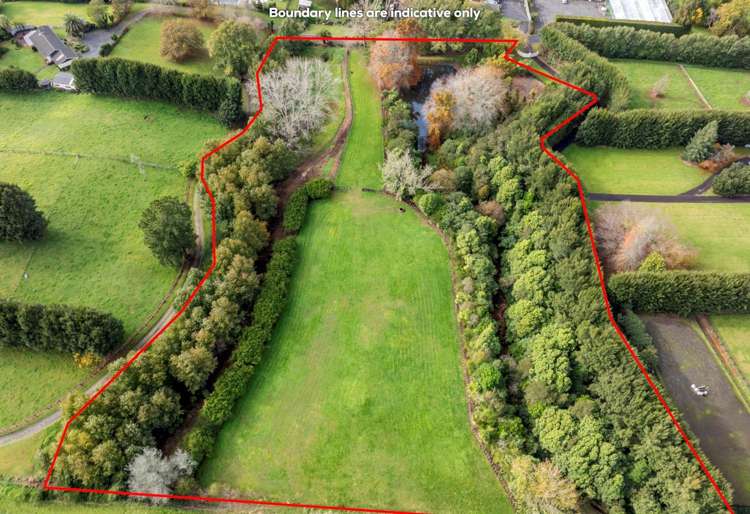 Woodlyn Drive Karaka_8